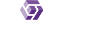 ICon VXL Logo Reversed-1